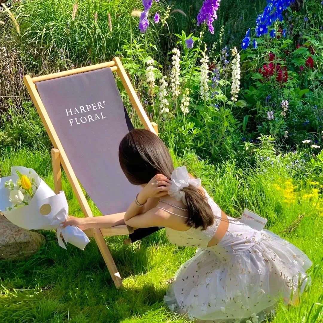 天赐萌宝，全家宠上天